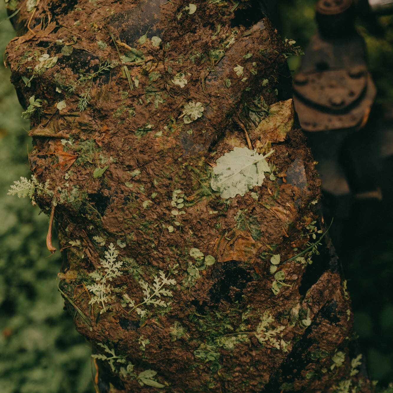 Weingut Geologie Terroir